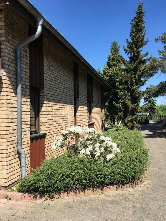 Ferienhaus Busch Lipsko Exteriér fotografie