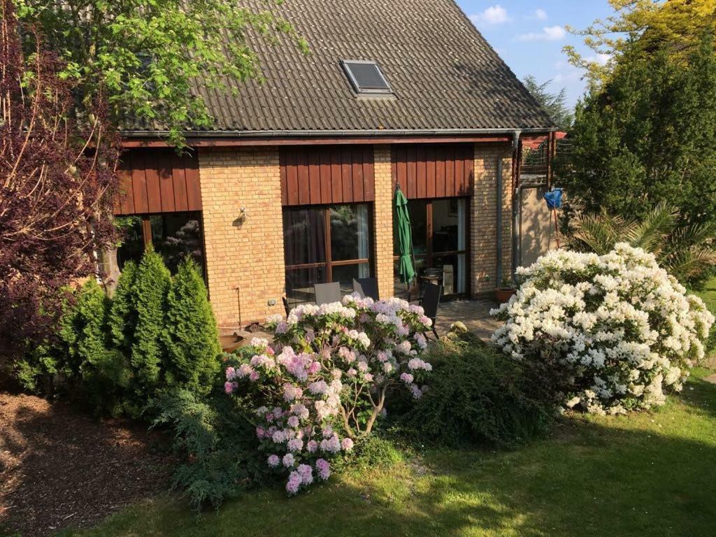 Ferienhaus Busch Lipsko Exteriér fotografie